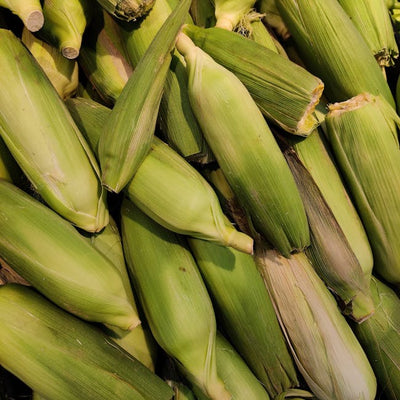 Sweet Corn