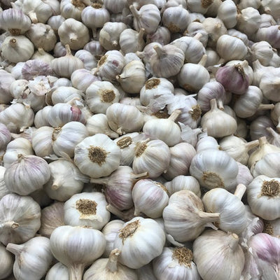 Garlic (Lehsun)