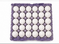 Proto Farm Fresh White Eggs - 30 Pieces Tray 4