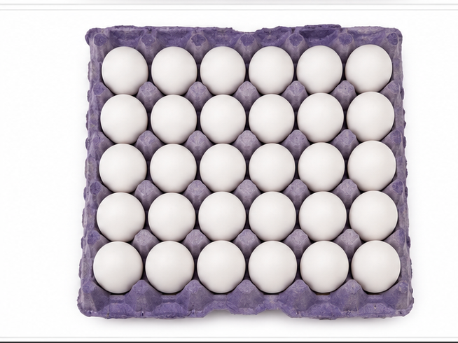Proto Farm Fresh White Eggs - 30 Pieces Tray 4
