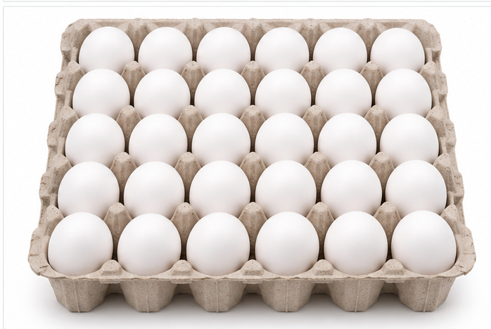 Happinest White Eggs 4