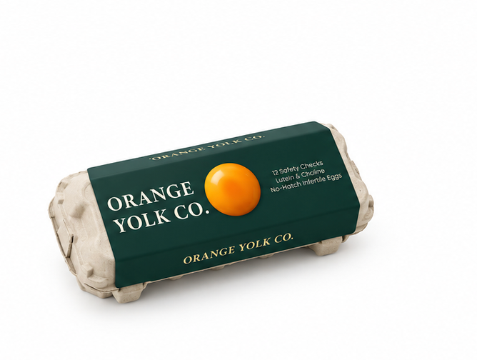 Orange Yolk Co. Protein Rich Eggs 3