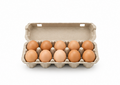 Orange Yolk Co. Protein Rich Eggs 4