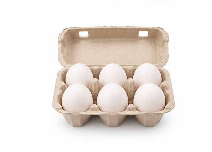 Abhi Vitamin D3 White Protein Rich Eggs - 1 pack (6 pieces) 4