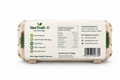Hen Fruit -10 Farm Fresh No Antibiotics White Protein Rich Eggs 2