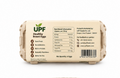 UPF Healthy Brown Eggs 2