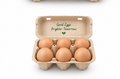 Kenko By Ovo Farm Protein Rich Eggs 4