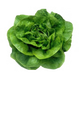 Leafies & Herbs