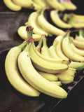 Bananas (Robusta) 3