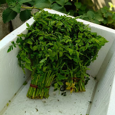 Fresh Green Peas (Matar)