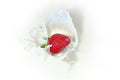 Amul Tazza Milk 3