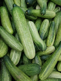 Cucumber (Kheera) 3