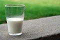 Amul Tazza Milk 2