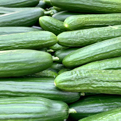 Cucumber (Kheera)