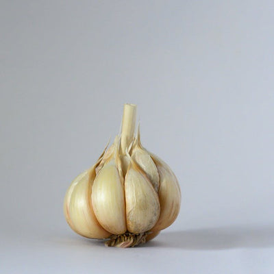 Ginger (Adrak)