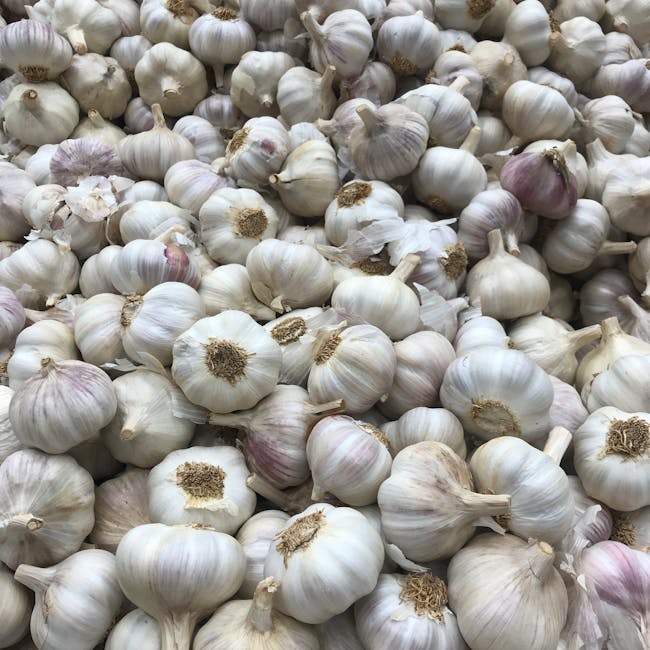 Garlic (Lehsun)
