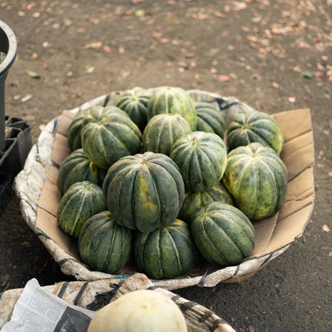 Bitter Gourd (Karela)