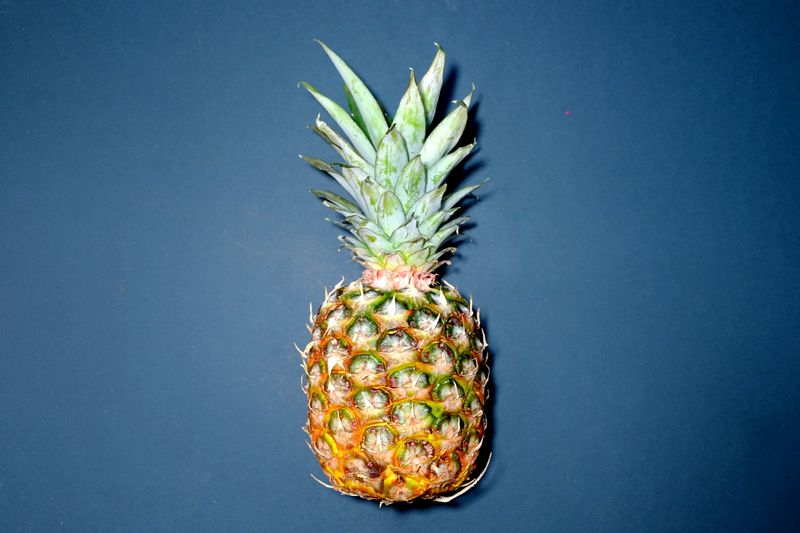 Pineapple 2